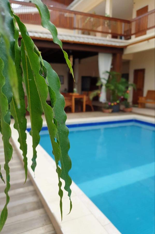 Amalia Apartments パラマリボ エクステリア 写真