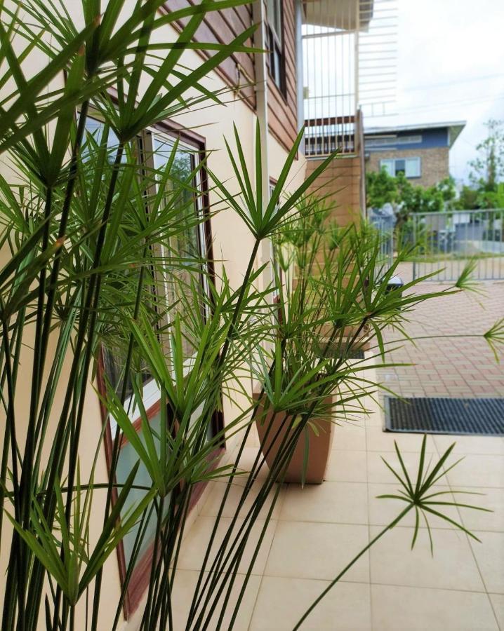 Amalia Apartments パラマリボ エクステリア 写真