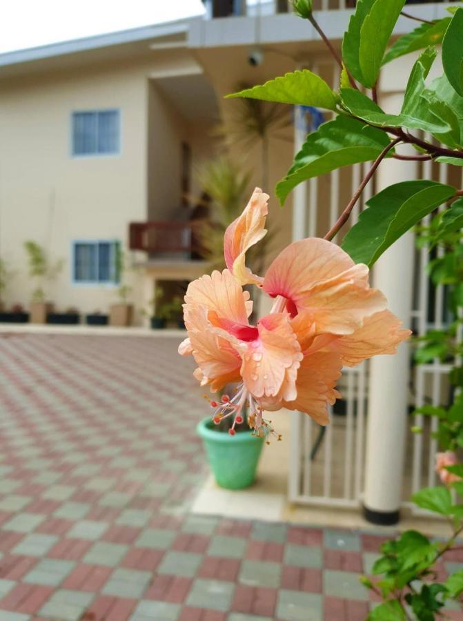 Amalia Apartments パラマリボ エクステリア 写真